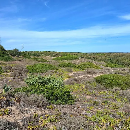 Dune Fossili Iun P3629 Dom wakacyjny
