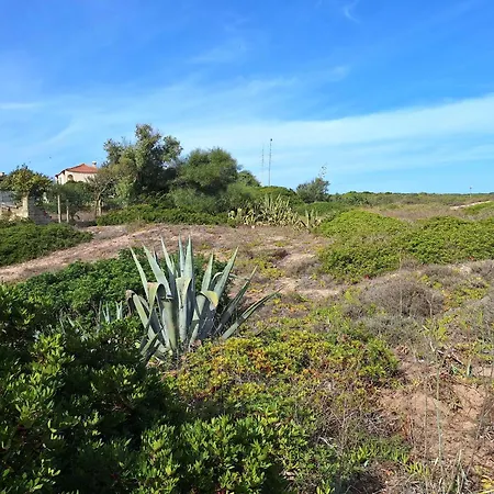 Dune Fossili Iun P3629 San Giovanni di Sinis