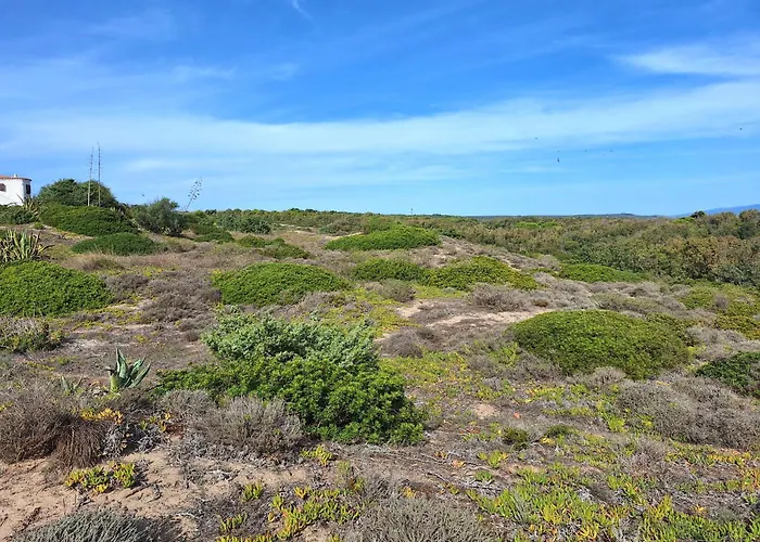Dune Fossili Iun P3629 Dom wakacyjny
