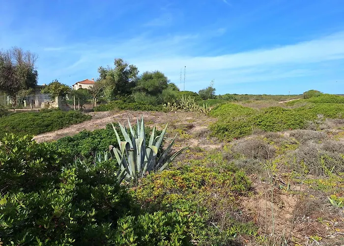 Dune Fossili Iun P3629 San Giovanni di Sinis